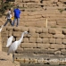 temple_karnak_lux_h_0297_egy3222.jpg